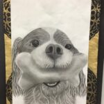 cavalier-king-charles